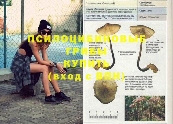 a pvp Заводоуковск