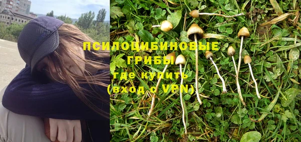 a pvp Заводоуковск
